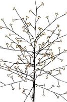 Twig Tree With Lights