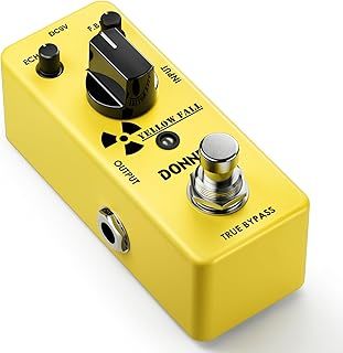 Delay Pedal Guitar