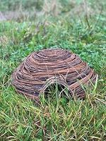 Hedgehog House
