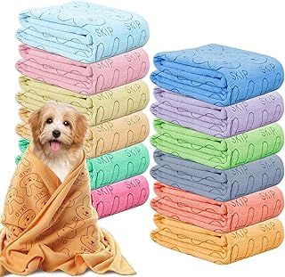 Dog Grooming Accessories
