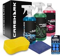 Car Cleaning Kit