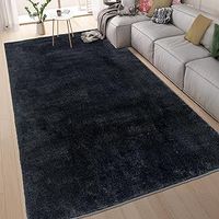 Black Rugs for Living Room