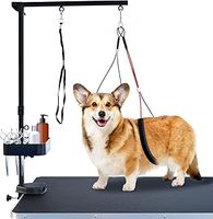 Dog Grooming Table
