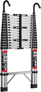 Telescopic Ladder
