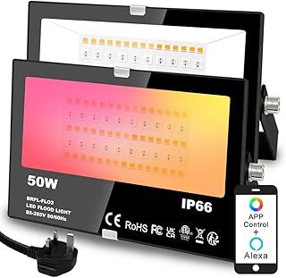 Smart Outdoor Light