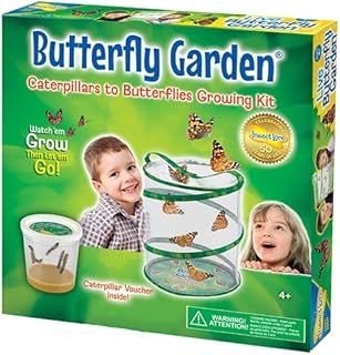 Garden Toys