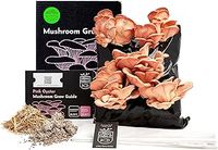 Grow Your Own Mushrooms Kit