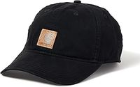 Patagonia Cap