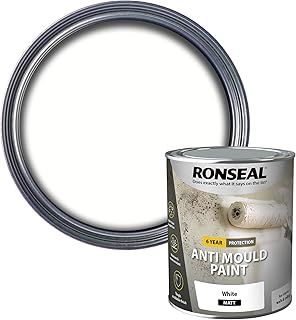 Anti Mould Additive for Paint