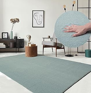 Blue Rugs For Living Room