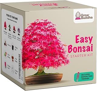 Grow Your Own Mushrooms Kit