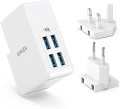 Travel USB Charger