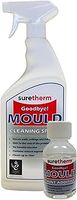 Anti Mould Additive for Paint