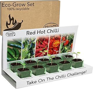 Mushroom Growing Kit