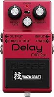 Delay Pedal Guitar