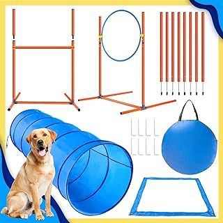Dog Jumps