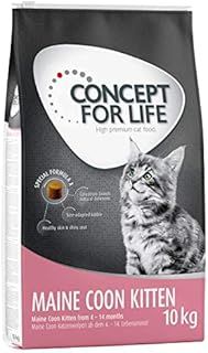 Maine Coon Cat Food