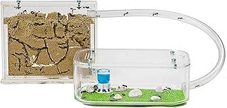 AntHouse - Natural sand ant farm - Basic set (sandwich + food box)