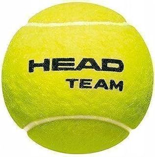 HEAD Team Tennis Balls - 1 Dozen