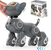 Robot Dog Toy for Kids, Voice & 2.4GHz Remote Control Robot Pet with Interactive Touch Sensors, Over 20+ Responses, Program Mode, Robotic Puppy Toy for Kids Boys & Girls