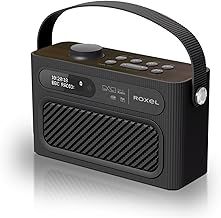 Roxel RDR-40 Stereo DAB/DAB+ Digital and FM Radio Portable Wireless Speaker with Dual Alarm Clock Function, USB & Micro SD MP3 Playback Function, 3.5mm Headphone Output (Black)