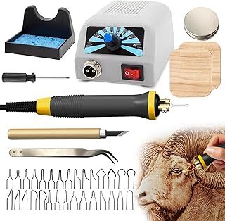 FIRElood LH20 Wood Burning Kit,Pyrography Wood Burning Tool Set with Pyrography Machine, 30 Wire Nibs, Detachable Wood Burning Pen, Adjustable Temperature 200-750℃(UK Plug)