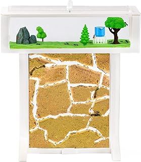 AntHouse - 3D Natural Sand Ant Farm | White T Kit 15x15x1,5 cm | Ant Hill