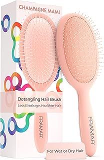 FRAMAR Detangle Hair Brush Women – Wet Hair Brush Rose Gold, Hairbrushes For Women, Hairbrush, Effective Detangling – Reduces Hair Breakage and Frizz - Champagne
