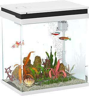 PawHut Fish Tank, 14L Glass Aquarium with Filter System, LED Lights, Water Pump, Betta Fish Tank for Goldfish, Shrimps, White