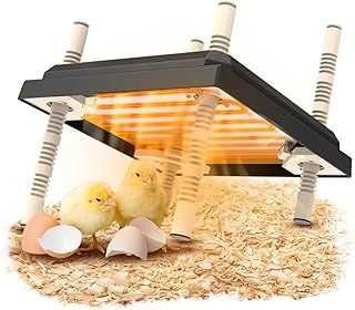 Brooder Heater For Chicks, Chick Brooder Heating Plate With Easy Clean Plate 10" X 10", Rutin Chicken Brooder For 15 Chicks, Adjustable Height Brooder Heater 22 Watts(Gray)