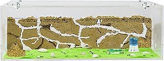 AntHouse - Natural Sand Ant Farm | Acrylic Big Starter Kit 30x15x10 cm