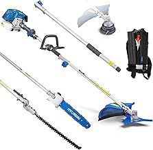 Hyundai 52cc Long Reach 5-in-1 Petrol Garden Multi Tool with 430mm Grass Trimmer, 425mm Hedge Trimmer, 10" Chainsaw, Brushcutter with 3 Year Warranty, Blue