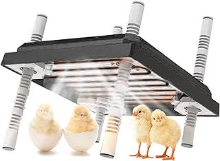 Chick Brooder Heating Plate,Adjustable Height and Angle Chick Brooder,Safe Incubators Alternative to Heat Lamps and Hens,for Chicks/Ducks Thermostat (10" x 10") for 15 Chicks - Black