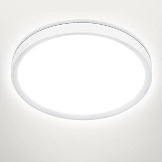 24W LED Ceiling Light,5000K Daylight White 2200LM,150W Equivalent,Ø 28.5cm Modern LED Ceiling Lamp for Living Room,Bedroom, Kitchen, Bathroom, Hallway, Office