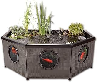 Blagdon Affinity Grand Half-Moon Living Water Feature Patio Pool Pond, with Inpond 5-in-1 3000 Filter Pump & UV Clarifier, LED Sotlight, 3 Fountain Feature Heads, 1 Planting Basket - Large