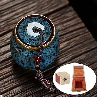 Small Keepsake Urn - Mini Ceramic Urn for Pet Ashes (Blue Ocean)