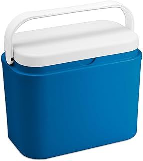 Cool Box 10 L 10L Mini Fridge Cooler Insulated Thermal Cooler Insulated with Refrigerated Box/Insulated