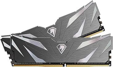 Netac DDR4 3200MHZ 32GB (2 X 16GB) Desktop Memory DRAM Kit C16 XPM2.0 Gaming Memory 32GB with Heat Sink, Black