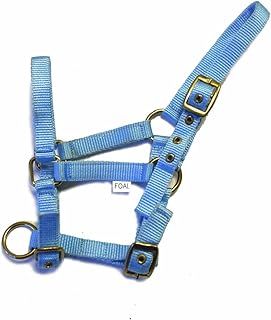 Rhinegold Nylon Foal Headcollar - Baby blue