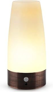 The Glowhouse Premium Style PIR Motion Sensor LED Night Light