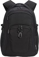 Amazon Basics Travel Laptop Backpack for 15.6 in / 38.1 cm Laptop, Black