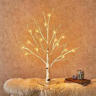 2FT White Birch Tree with Lights, Tabletop Christmas Tree with 24 Warm White LEDs, Battery/USB Powered, Decorative Lighting for Indoor Christmas, Parties, Home, Weddings, and Easter