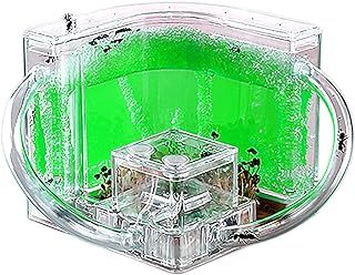 Ant Farm for Kids - Safety Gel Colony Ecosystem Terrarium, Habitat Science Learning Kit (No Ants Included)
