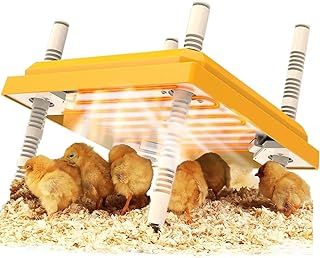 Chick Brooder Heating Plate, 10" x 10" Chick Incubator Heating Lamp, Adjustable Angle and Height Chick Brooder, Safe Incubators With Easy Clean Plate for Chicks/Ducks Thermostat for 15 Chicks (Yellow)