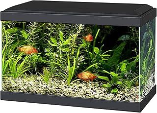 Ciano Aqua 20 Aquarium with LED Lights & Filter BLACK