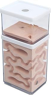 Ant Nest Farm Natural Gypsum, Transparent Ant Formicarium World House Feeding Box for Observing Habits Science Experiment Gift