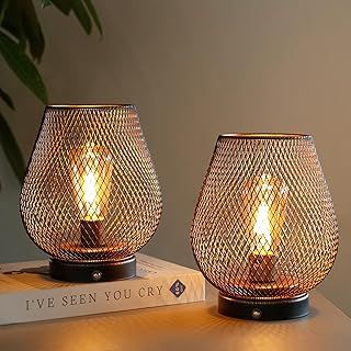 JHY DESIGN Set of 2 Metal Cage Table Lamp Battery Powered, Cordless Accent Lights with LED Edison Style Bulb for Bedroom Home Weddings Parties Patio Indoors Outdoors Valentine's Day(Egg Shape)