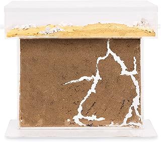 AntHouse - Natural Sand Ant Farm - Acrylic T BIG Kit 25x20x1,5 cm