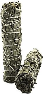 Nosy Nomad White Sage Smudge Stick (Salvia apiana) | Medium Incense Sticks Set of 2 - Sage Smudge Stick Gift Set, Spiritual Gifts & Supplies, New Home Gift, Native American Gifts, Ideal For Meditation