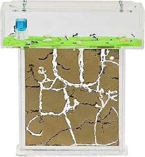 AntHouse - Natural Sand Ant Farm | Acrylic T Kit 15x15x1,5 cm
